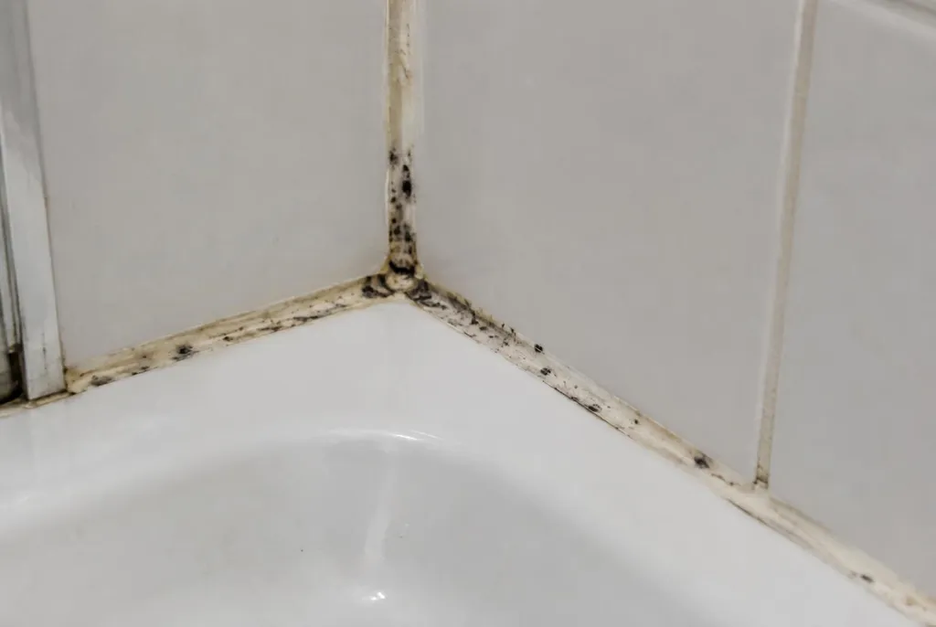 Kitbedrijf Scherpenzeel – beschimmelde kitranden